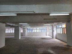 聯興工廠大廈 長沙灣 低層 C207282 售盤