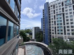 畢架山峰 九龍塘 低層 1859376 售盤