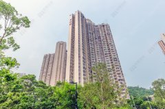 景林村 将军澳 高层 1819966 售盘