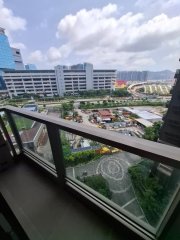 笋价出售 缩图 9