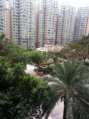 珀丽湾 马湾 低层 1881856 售盘