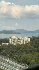 運頭塘村 大埔 高層 W159080 售盤