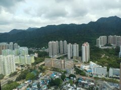 名城 沙田 高层 T033466 售盘