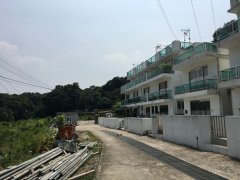 大环 西贡 全幢 013047 售盘