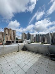 下徑口**天台玻璃屋有申報** 沙田 高層 S009532 售盤