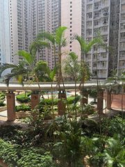 廣明苑 將軍澳 低層 F184624 售盤