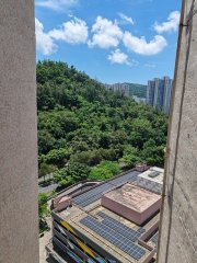 景林村 將軍澳 高層 F184806 售盤