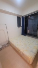 筍價出售 縮圖 4