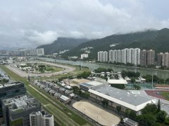御龍山 沙田 高層 1875806 售盤