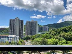 新峰花園 大埔 中層 P145396 售盤