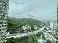 浪翠园 荃湾 B070471 售盘