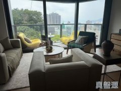大學閣 西半山 中層 1853482 售盤
