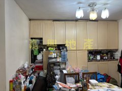 小瀝源東約 天水圍 低層 H044172 售盤