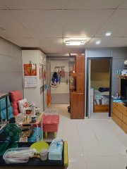 恒安村 馬鞍山 T168547 售盤