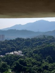 頌雅苑 大埔 高層 G033397 售盤