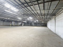 屯門15000呎廠房 屯門 S074525 售盤