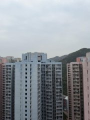 广明苑 将军澳 高层 F184369 售盘