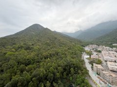裕泰苑 東涌 高層 000209 售盤