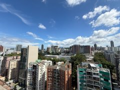 名鑽