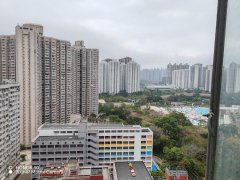 景林村 將軍澳 高層 F184515 售盤