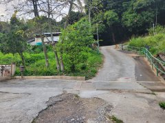 上碗瑶 大埔 低层 C495648 售盘