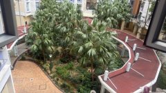 彩明苑 将军澳 低层 F184467 售盘