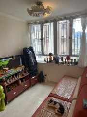 嘉峰台 牛池灣 高層 N125071 售盤