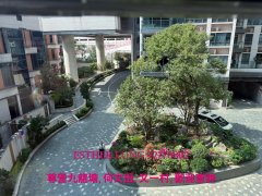 贤文礼士 九龙塘 K162094 售盘