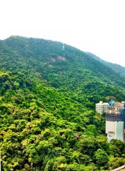 南豐新村 鰂魚涌 高層 E048750 售盤