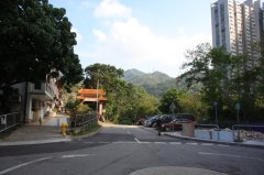 沙田圍新村**車泊樓下*** 沙田 高層 S009280 售盤