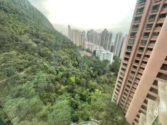 晓峰阁 中半山 中层 M008790 售盘