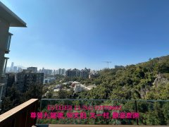 畢架山一號 九龍塘 K146559 售盤