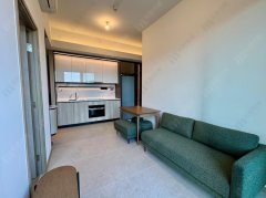 SIERRA SEA PH 01A AQUA AVE 馬鞍山 低層 1842526 售盤