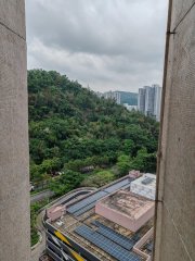 景林村 將軍澳 高層 F184806 售盤