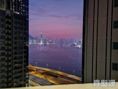 維港頌 北角 高層 1857544 售盤