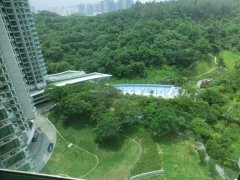 嵐山 大埔 高層 R126521 售盤