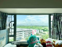 采葉庭 元朗 中層 000011 售盤