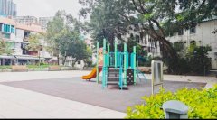 田心村***大圍火車站旁*** 沙田 低層 S009602 售盤