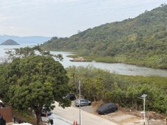 企嶺下老圍 西貢 高層 021342 售盤