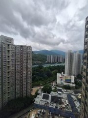 逸雅苑 大埔 高層 G030996 售盤