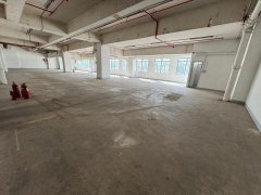 沙田工业中心 沙田 低层 K212172 售盘