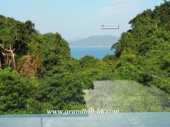 清水灣海景入契巨園 西貢 016603 售盤