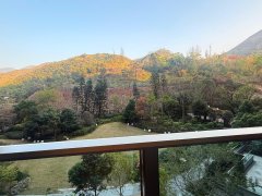 瓏珀山 沙田 低層 1846336 售盤