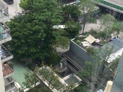 美孚新村 荔枝角 高層 B035956 售盤