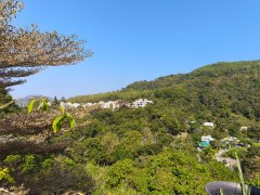 山頂花園 大埔 全層 G127687 售盤