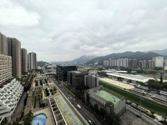 御龍山 沙田 中層 1846690 售盤