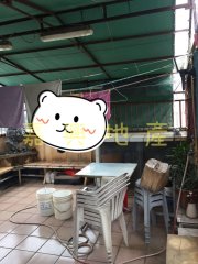 花園城 沙田 高層 H010029 售盤