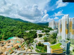 富亨村 大埔 高層 R168292 售盤