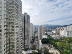 大埔廣場 大埔 高層 T028720 售盤
