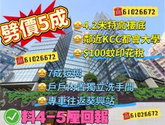 ICITY 葵涌 中层 1841266 售盘